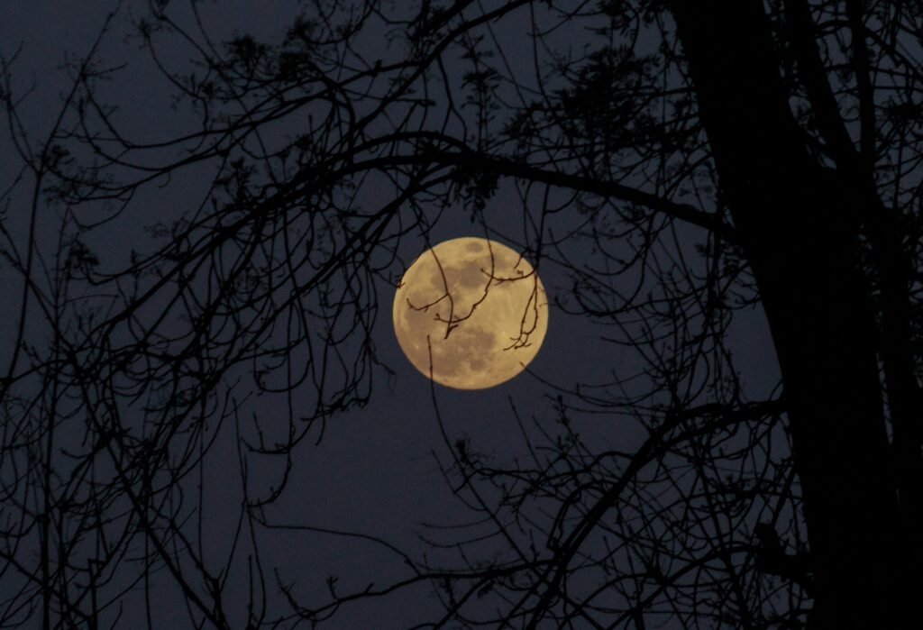 moon phase today chicago showing the moon over a city skyline representing moon phase today Chicago Seattle Houston Hawaii Utah Dallas Atlanta Denver Miami Philadelphia Boston Las Vegas and how moon phase differs by city and location