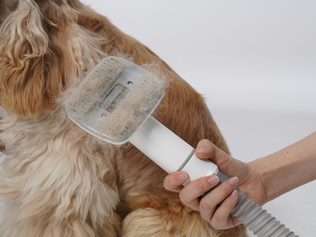 best vacuum for pet hair showing an upright vacuum cleaner removing embedded pet hair from a carpet representing top vacuum picks for homes with dogs and cats