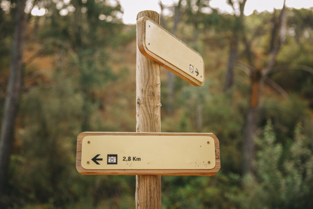 national park sign showing a brown and white entrance sign representing national park sign fonts colors NPS arrowhead logo what the signs say trail signs motorist guidance signs entrance signs and how they are made